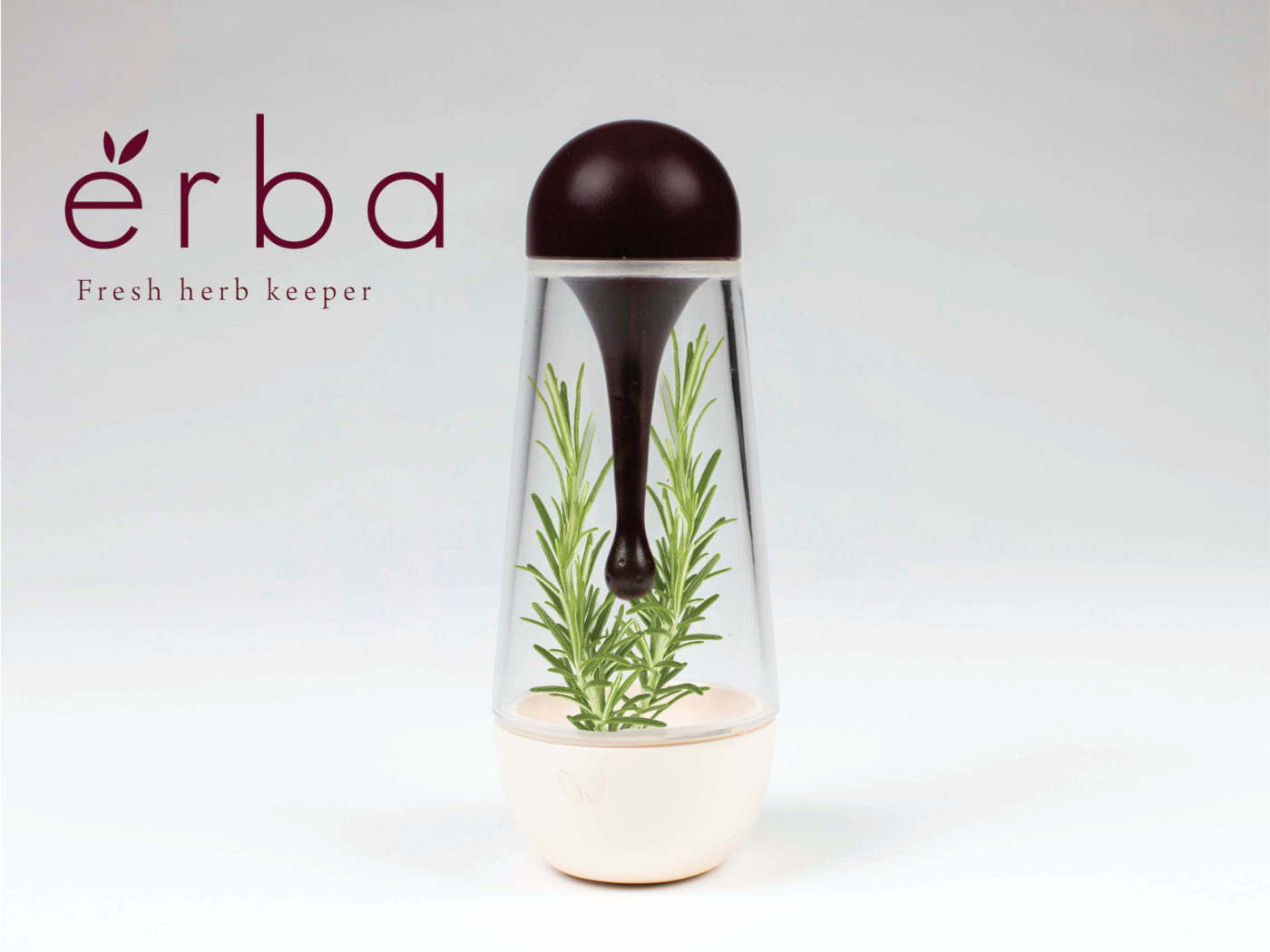 ERBA by Manuela Arroyave Erba
Photo credit: Manuela Arroyave