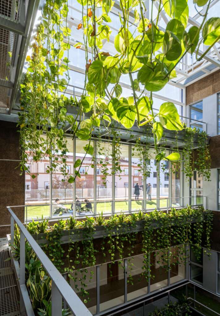 Extension and Renovation of University of Zaragoza’s Philosophy and Letters Faculty                                             
Magén Arquitectos
